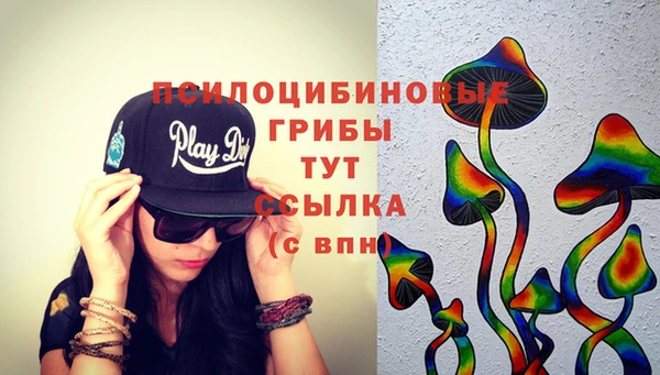 mdma Горнозаводск