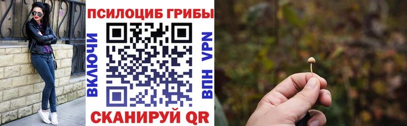 МЕГА зеркало  Гороховец  Псилоцибиновые грибы Psilocybe  купить наркотики сайты 